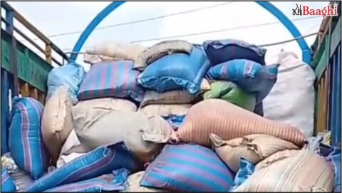 میرپورخاص: چھالیہ کا بڑا چورا برآمد، ایک گرفتار