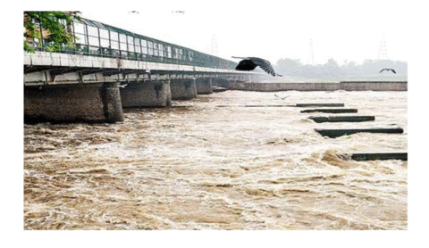 چناب میں پانی کی سطح خطرناک حد تک بلند