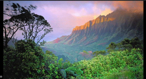 خاموشی،تحریر: اقصیٰ جبار