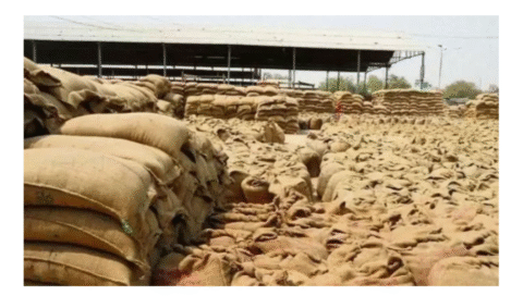 گندم کے گودام میں سیلابی پانی، کروڑوں کی گندم خراب