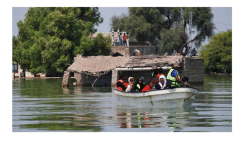 سیلاب متاثرہ علاقوں میں پانی کی سطح میں نمایاں کمی واقع ہوگئی، پی ڈی ایم اے