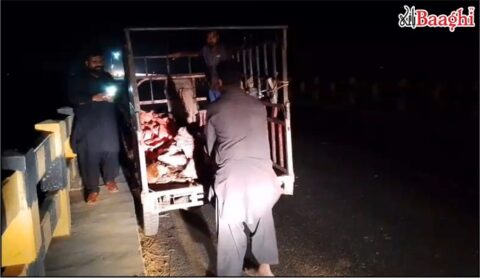 بہاولنگر: پنجاب فوڈ اتھارٹی کی بڑی کارروائی، 350 کلو مضر صحت گوشت تلف