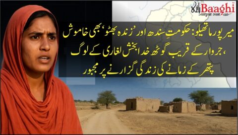 میرپورماتھیلو: حکومتِ سندھ اور ’زندہ بھٹو‘ بھی خاموش، جروار کے قریب گوٹھ خدا بخش لغاری کے لوگ پتھر کے زمانے کی زندگی گزارنے پر مجبور