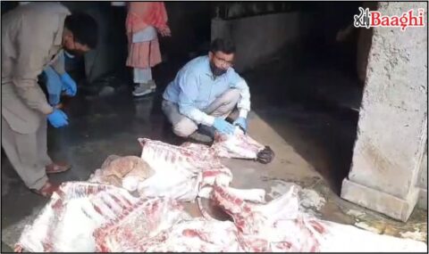 منڈی بہاؤالدین: پنجاب فوڈ اتھارٹی کی کارروائی، بیمار و مردار جانوروں کا 500 کلوگرام گوشت برآمد
