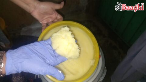 اوکاڑہ: پنجاب فوڈ اتھارٹی کی بڑی کارروائیاں، 300 کلو سے زائد ملاوٹ شدہ اشیاء تلف، مقدمات درج