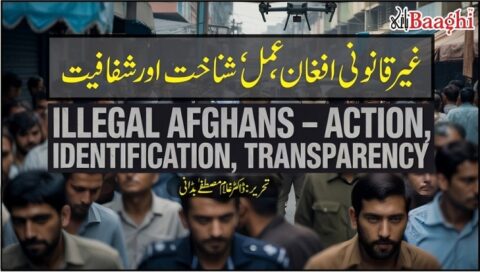غیرقانونی افغان، عمل، شناخت اور شفافیت