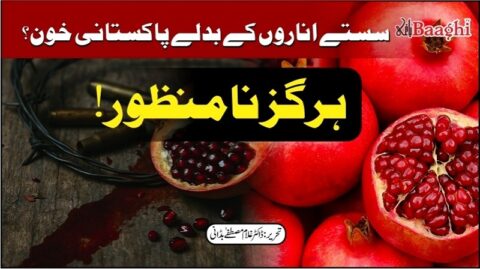 سستے اناروں کے بدلے پاکستانی خون، نامنظور!