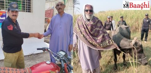گھوٹکی پولیس کی شاندار کارروائی، چوری شدہ موٹر سائیکل اور بھینس برآمد کرکے مالکان کے حوالے