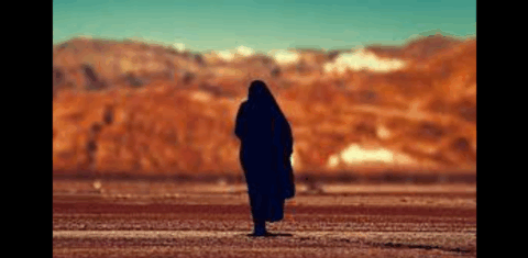 عورت، فطرت کا نازک سہارا ،تحریر:نور فاطمہ