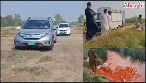 بہاولنگر: ملاوٹی مصالحوں کے خلاف پنجاب فوڈ اتھارٹی کی بڑی کارروائی، 280 کلو ملاوٹی مرچیں تلف