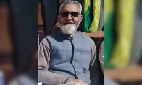 گلگت بلتستان حکومت تحلیل، نگراں وزیر اعلیٰ کا اعلان