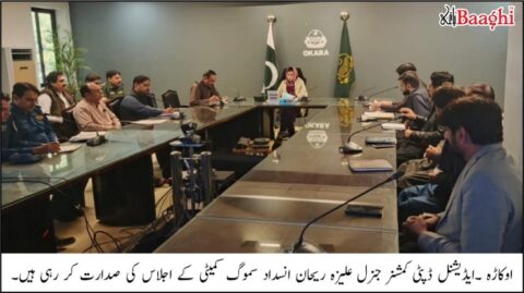 اوکاڑہ: انسدادِ سموگ کمیٹی کا اجلاس، فیلڈ اقدامات مزید تیز کرنے کی ہدایت