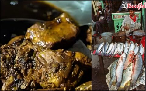 ہیڈ پنجند: موسمِ سرما میں مچھلی پوائنٹ کی بدانتظامی شہریوں کے لیے پریشانی کا سبب