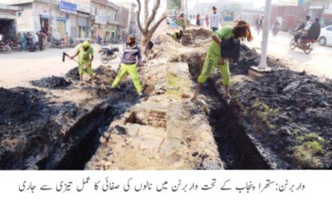 واربرٹن: "ستھرا پنجاب” پروگرام کے تحت شہر کی بیوٹیفیکیشن اور صفائی مہم تیزی سے جاری