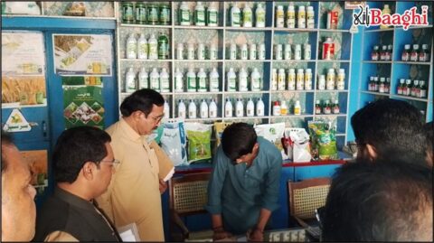 گھوٹکی: غیر معیاری کھاد کے خلاف کارروائیاں، متعدد دکانوں پر چھاپے