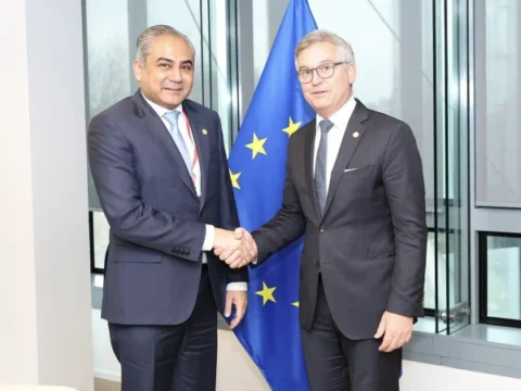 محسن نقوی کی یورپی کمشنر سے ملاقات
