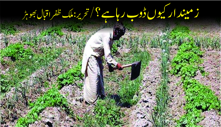 زمیندار کیوں ڈوب رہا ہے؟