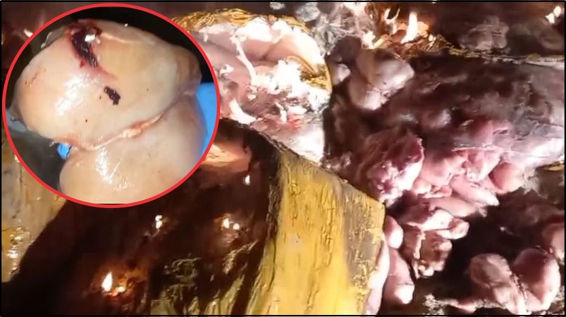 نئے سال کے موقع پر مضرِ صحت گوشت کی سپلائی کی کوشش ناکام، پنجاب فوڈ اتھارٹی کی بڑی کارروائی