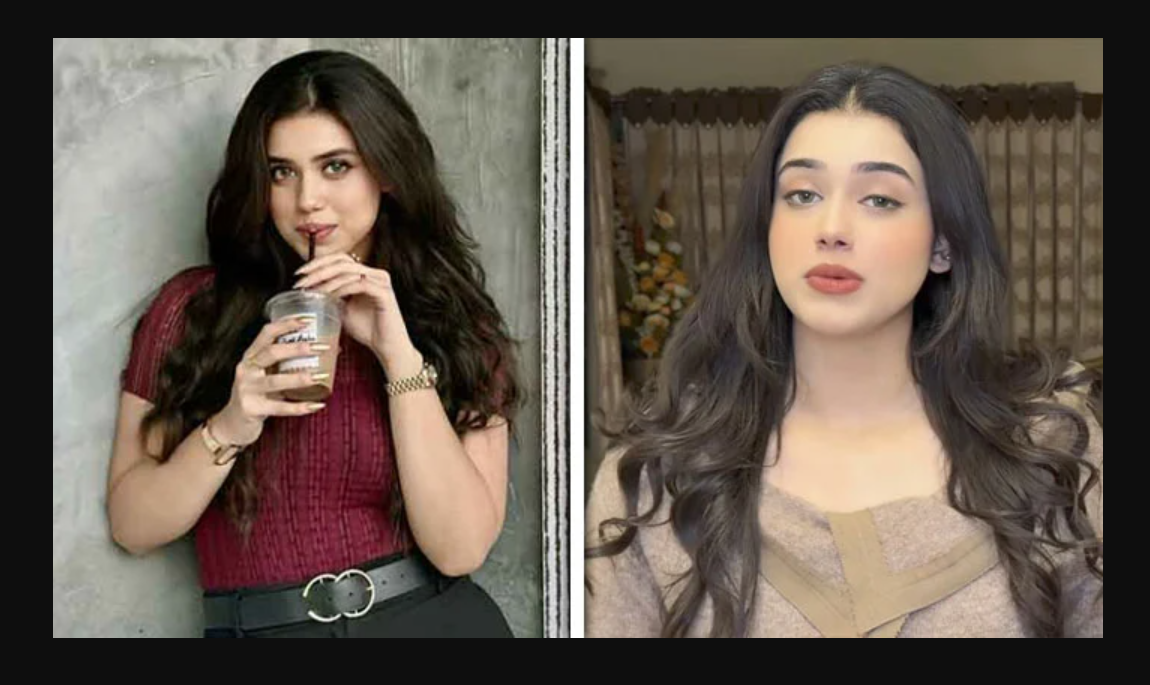 ٹک ٹاکر علینہ عامر کی مبینہ لیک ویڈیوپراہم پیشرفت