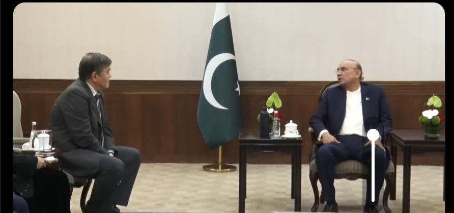 صدر مملکت  کی  ہانگژو جن جیانگ گروپ کے سی ای او وانگ جیان سے ملاقات