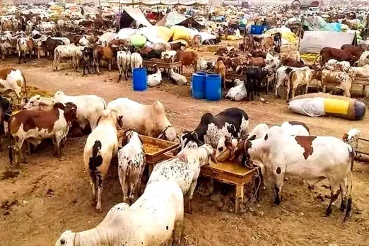 eid