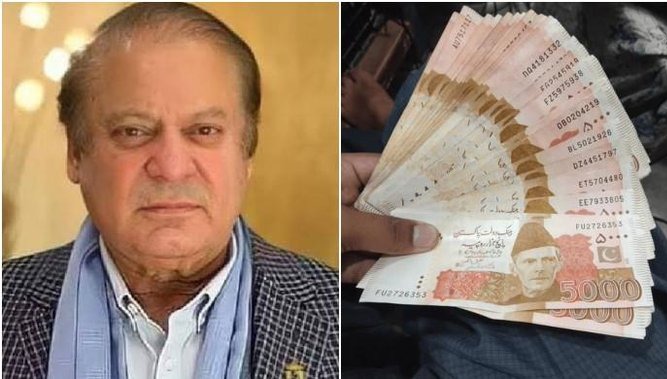 pmln