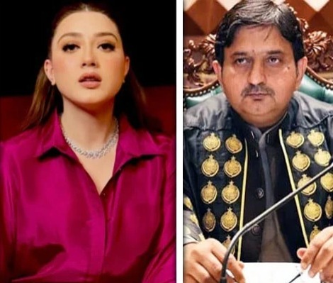 مومنہ اقبال کیخلاف توہین آمیز ریمارکس پر اسپیکر پنجاب اسمبلی کی شدید مذمت