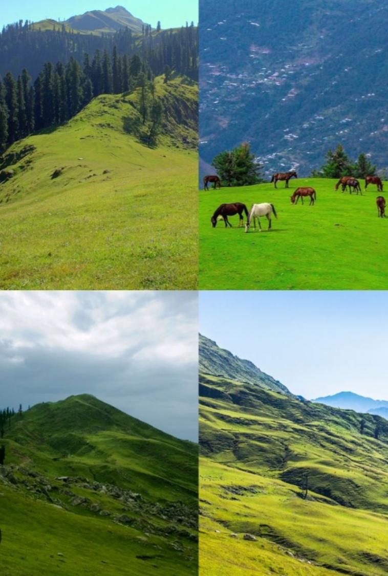 ganga choti