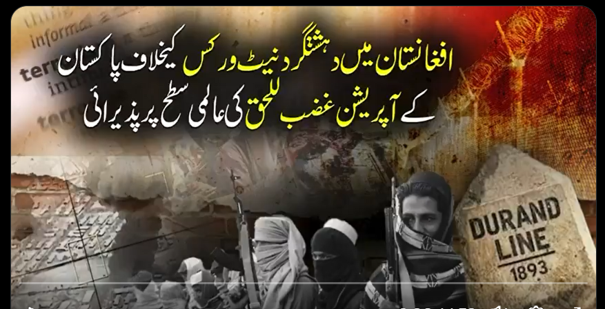 افغانستان میں دہشتگرد نیٹ ورکس کیخلاف پاکستان کےآپریشن غضب للحق کی عالمی سطح پر پذیرائی