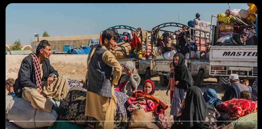 پنجاب ،غیر قانونی مقیم غیر ملکیوں کی بے دخلی کا عمل جاری، 35 ہزار 719 افراد ڈی پورٹ